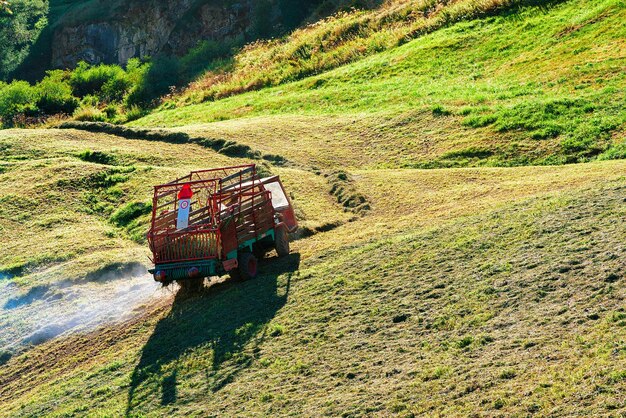 Zermatt, Svizzera - 24 agosto 2016: Operaio che fa lavori agricoli come il taglio del fieno nel prato, Zermatt, Svizzera.