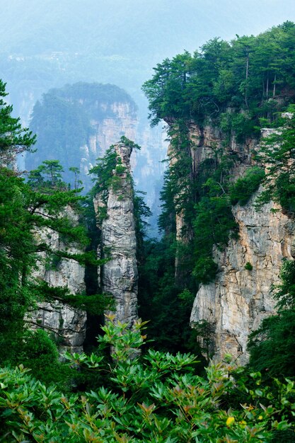 Zhangjiajie Wulingyuan National Scenic Spot Area panoramica patrimonio naturale mondiale della morfologia dell'arenaria