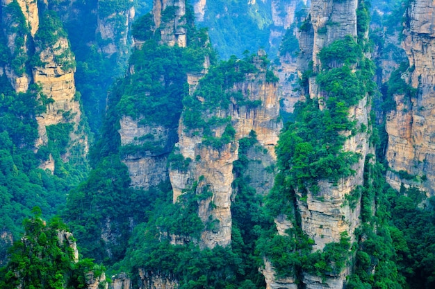 Zhangjiajie Wulingyuan National Scenic Spot Area panoramica patrimonio naturale mondiale della morfologia dell'arenaria