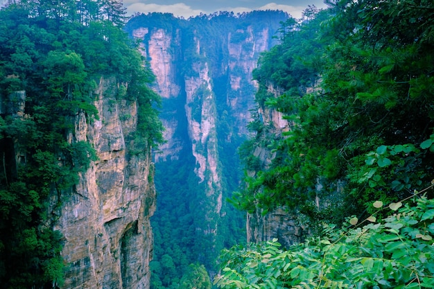 Zhangjiajie Wulingyuan National Scenic Spot Area panoramica patrimonio naturale mondiale della morfologia dell'arenaria