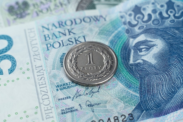 Zloty polacco sulla banconota