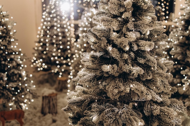 Zona fotografica di capodanno con la neve vicino a un bar panetteria Decorazioni natalizie giocattoli Alberi di Natale panchina ghirlanda lampadine incandescenti umore festivo immagine per cartolina