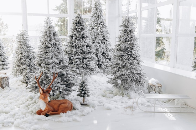 Zona fotografica di capodanno con neve vicino a un bar panetteria Decorazioni natalizie giocattoli Alberi di Natale panca ghirlanda lampadine incandescenti umore festivo immagine per cartolina