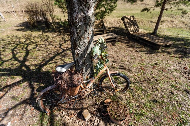 Zona lounge. Sedia a sdraio in legno e tavolo sull'erba del prato in un giardino. Riposo luogo di relax. concetto di riposo.