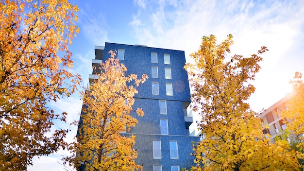 Zona residenziale moderna Alberi vicino al nuovo edificio di appartamenti Immobili di lusso rispettosi della natura