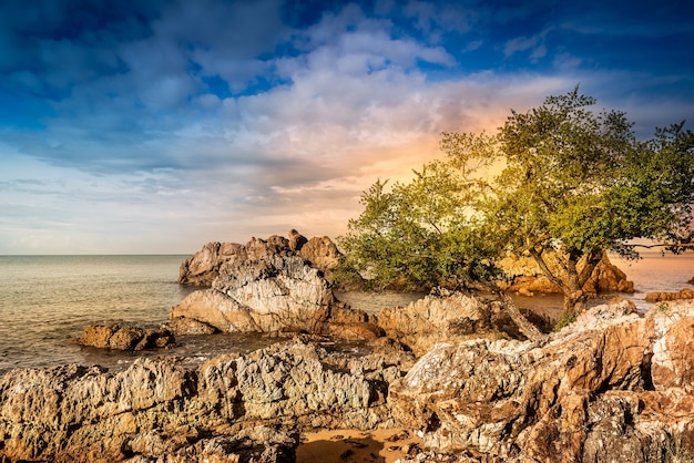 Zona rocciosa sulla bellissima costa nell'ora del tramonto