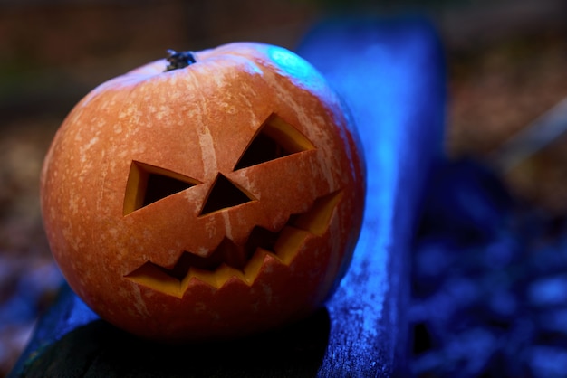 Zucca arancia con occhi arrabbiati e bocca guardando