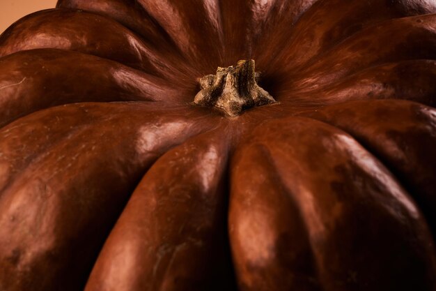 Zucca arancia intera matura vicino sullo sfondo