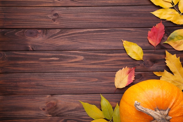 Zucca arancio con le foglie su fondo marrone