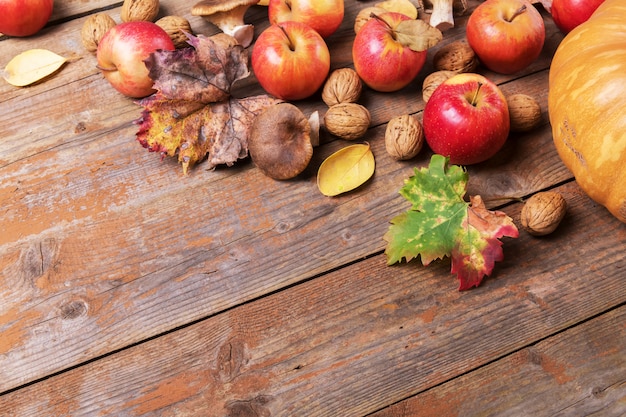 Zucca arancione con funghi cardoncelli, mele, noci e foglie colorate su vecchie tavole di legno rustici.