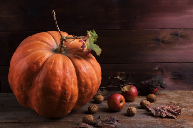 Zucca arancione con funghi cardoncelli, mele, noci e foglie colorate su vecchie tavole di legno rustici.