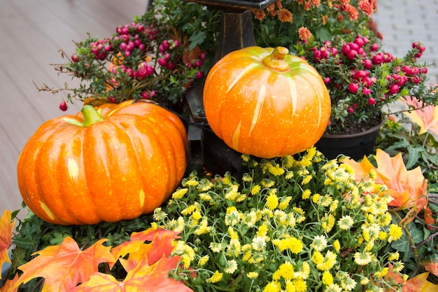 Zucca arancione da vicino e foglie d'acero fiori minuscoli gialli e bacche di biancospino