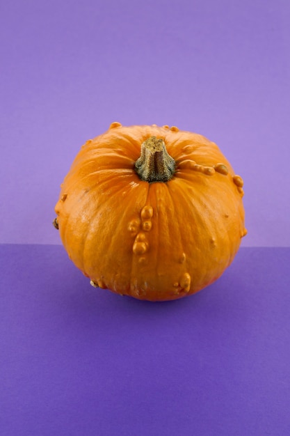 Zucca arancione decorativa su una priorità bassa viola con lo spazio della copia.