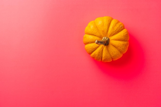 Zucca arancione isolata sopra la vista superiore del fondo rosso