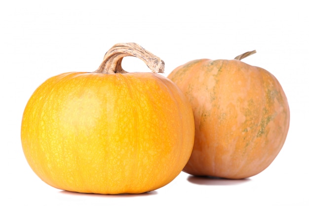 Zucca arancione isolata su una priorità bassa bianca