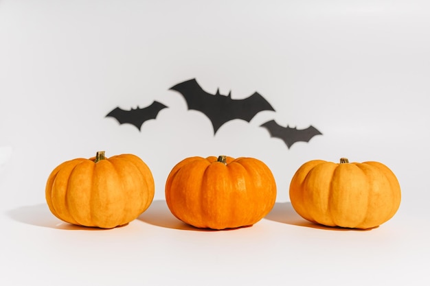 Zucca arancione matura fresca su sfondo bianco Spazio con i pipistrelli Concetto di Halloween