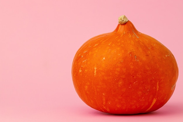 Zucca arancione su sfondo rosa vicino vista frontale