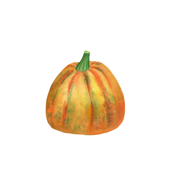 Zucca autunnale ad acquerello Un elemento isolato della serie autunnale di illustrazioni ad acquerello