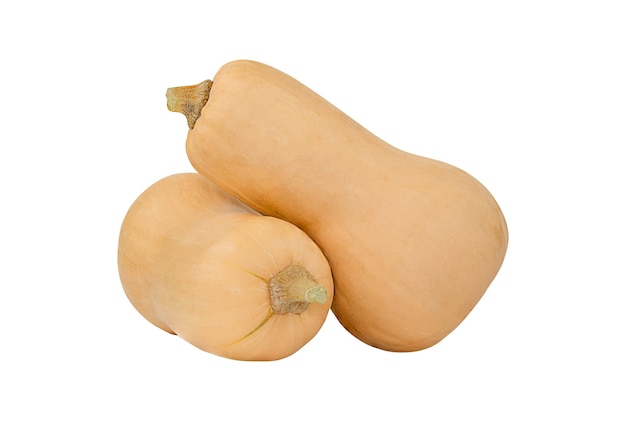 Zucca Butternut isolata su sfondo bianco