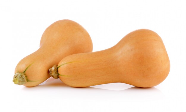 zucca butternut isolata