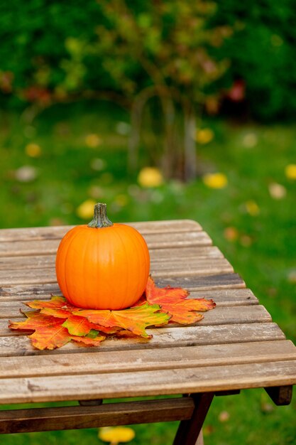 Zucca con foglie di acero su un tavolo in un giardino