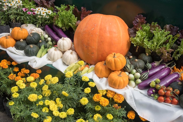 Zucca dei grandi giganti