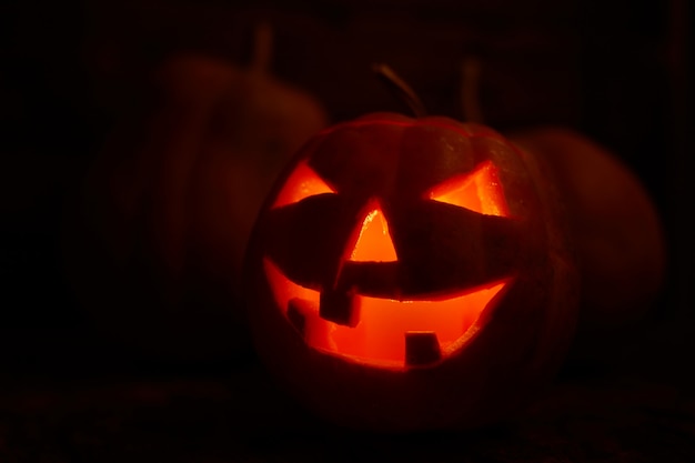 Zucca della presa-o-lanterna di Halloween su fondo nero