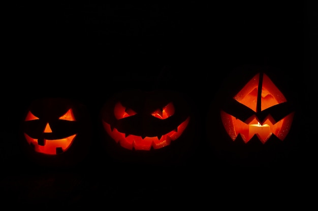 Zucca della presa-o-lanterna di Halloween su fondo nero