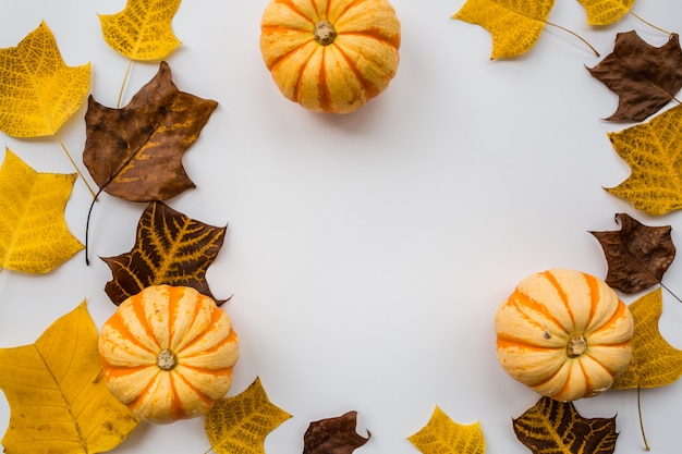 Zucca di autunno e foglie di autunno.