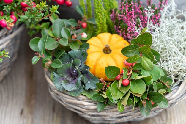 Zucca di autunno in un vaso di fiori