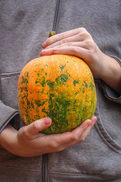 zucca di frutta matura e fresca