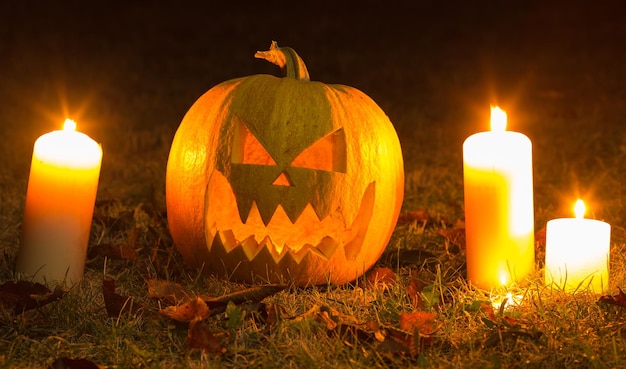 Zucca Di Halloween Di Notte