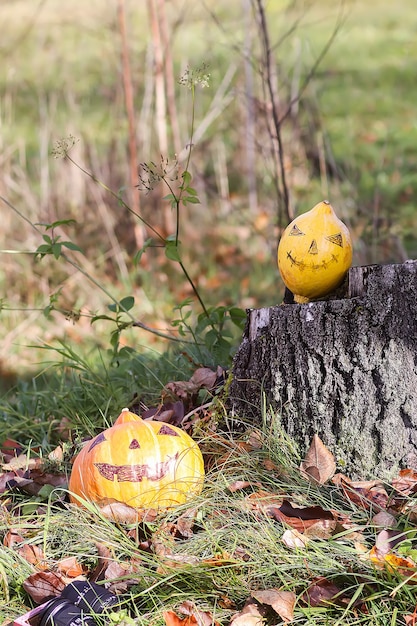 Zucca di Halloween divertente con la faccia spaventosa in foglie d'autunno nel giardino autunnale in campagna