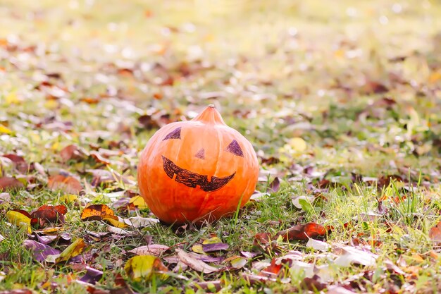 Zucca di Halloween divertente nel parco autunnale con foglie d'autunno.