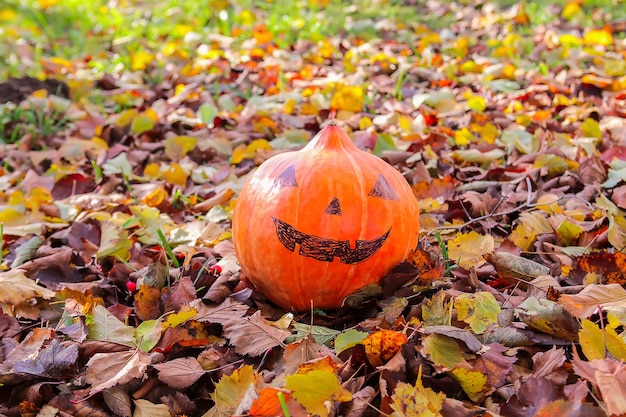 Zucca di Halloween divertente nel parco autunnale con foglie d'autunno.