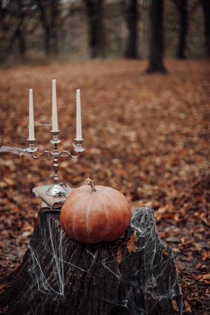 Zucca di Halloween e decorazioni per le vacanze a foglie d'acero tra gli alberi nella stagione autunnale all'aperto