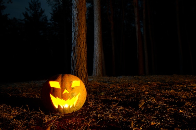 Zucca Di Halloween In Una Foresta Di Notte