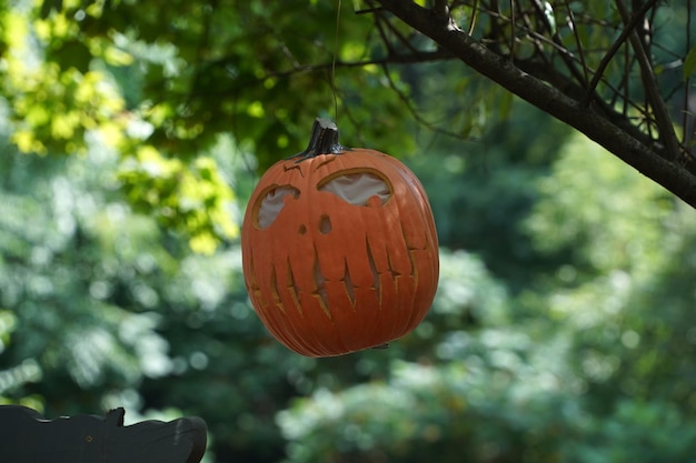 Zucca di Halloween intagliata che pende da un albero