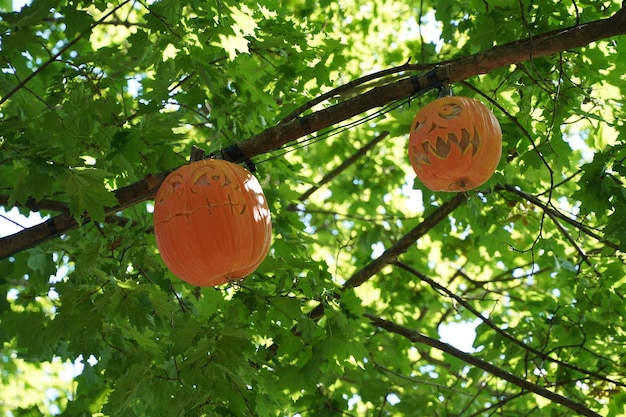 Zucca di Halloween intagliata che pende da un albero