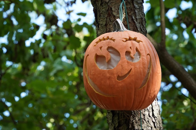 Zucca di Halloween intagliata che pende da un albero