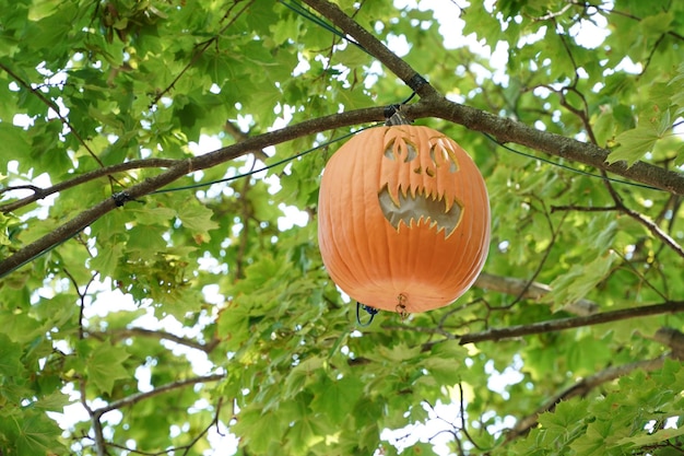 Zucca di Halloween intagliata che pende da un albero