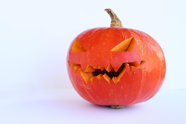 Zucca di Halloween isolata su sfondo bianco. Zucca arancione matura per Halloween