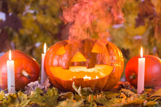 Zucca di Halloween Jack-o-Lantern con nebbia che versa dalla bocca.