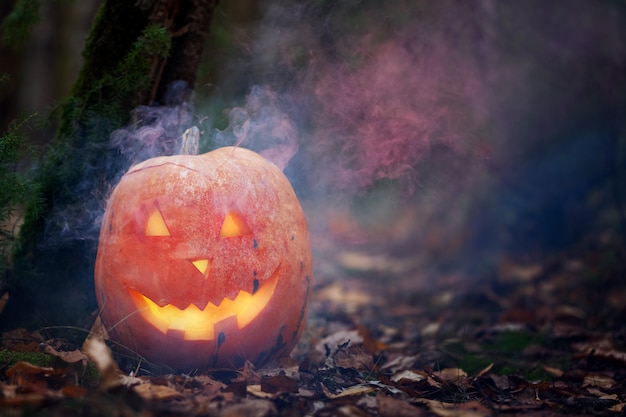 Zucca di Halloween nella foresta spettrale scura con fumo di fantasma