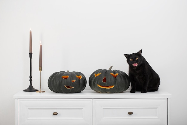 Zucca di halloween nera e gatto nero in interni bianchi