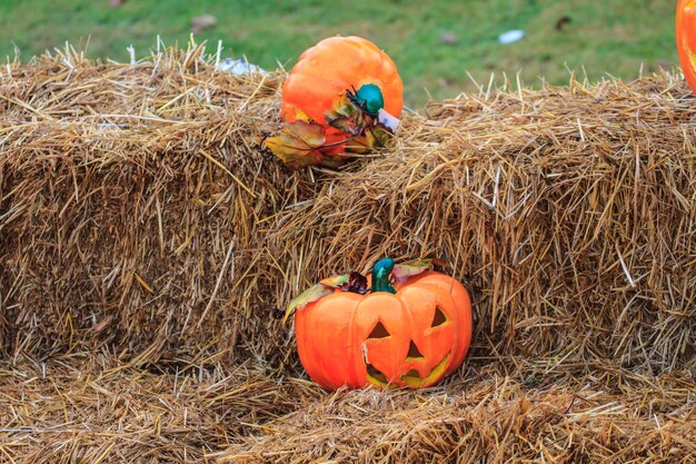 Zucca di Halloween su sfondo