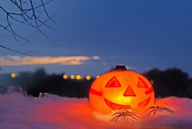 Zucca di Halloween su una ragnatela bianca al tramonto