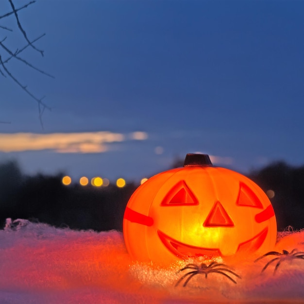 Zucca di Halloween su una ragnatela bianca al tramonto