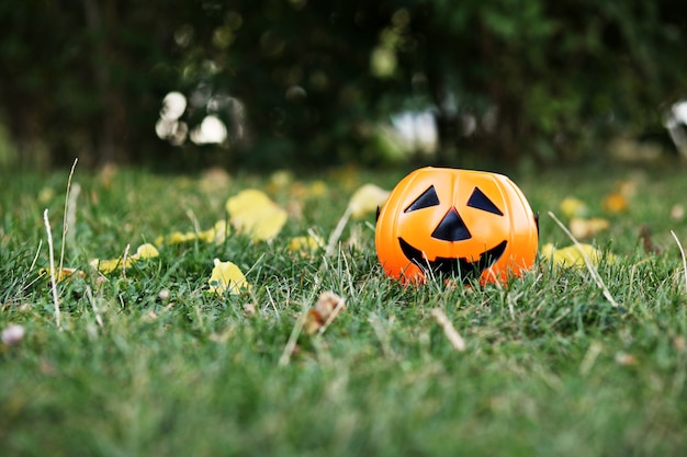 zucca di Halloween sull'erba