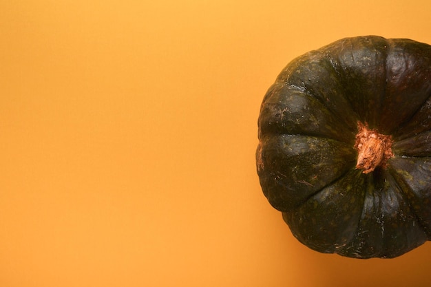 Zucca di Halloween Una zucca grande vecchia e verde su sfondo arancione Decorazione autunnale Banner Halloween concept Vista dall'alto